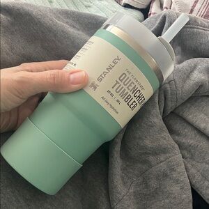 Stanley Quencher Tumbler in Light Green